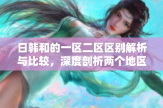 日韩和的一区二区区别解析与比较，深度剖析两个地区的特点