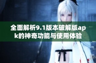 全面解析9.1版本破解版apk的神奇功能与使用体验