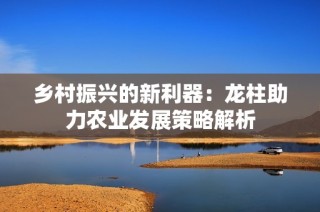 乡村振兴的新利器：龙柱助力农业发展策略解析
