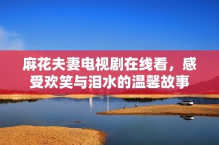 麻花夫妻电视剧在线看，感受欢笑与泪水的温馨故事