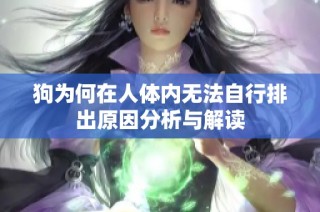 狗为何在人体内无法自行排出原因分析与解读