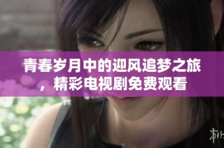 青春岁月中的迎风追梦之旅，精彩电视剧免费观看