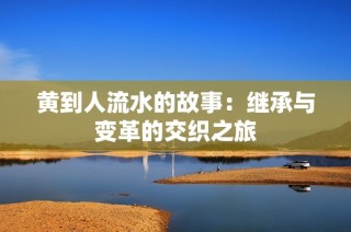 黄到人流水的故事：继承与变革的交织之旅