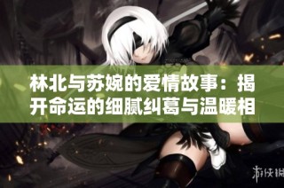 林北与苏婉的爱情故事：揭开命运的细腻纠葛与温暖相遇