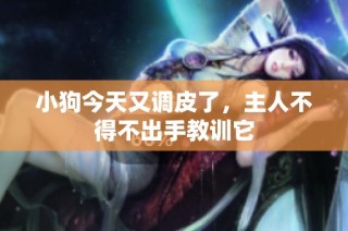 小狗今天又调皮了，主人不得不出手教训它