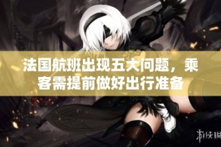法国航班出现五大问题，乘客需提前做好出行准备