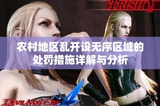 农村地区乱开设无序区域的处罚措施详解与分析
