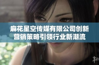 麻花星空传媒有限公司创新营销策略引领行业新潮流
