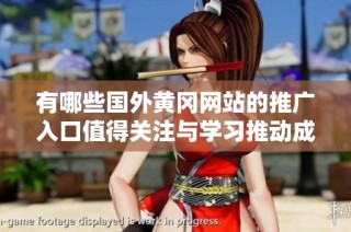 有哪些国外黄冈网站的推广入口值得关注与学习推动成长