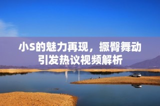小S的魅力再现，撅臀舞动引发热议视频解析