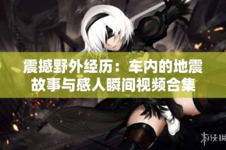 震撼野外经历：车内的地震故事与感人瞬间视频合集