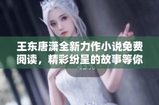 王东唐潇全新力作小说免费阅读，精彩纷呈的故事等你发现