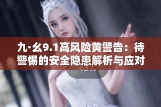 九·幺9.1高风险黄警告：待警惕的安全隐患解析与应对策略