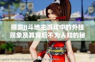 揭露JJ斗地主游戏中的外挂现象及其背后不为人知的秘密与猫腻