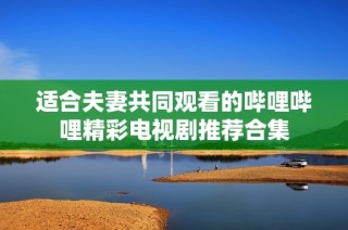 适合夫妻共同观看的哔哩哔哩精彩电视剧推荐合集
