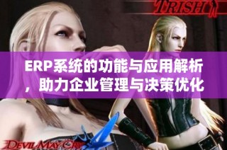 ERP系统的功能与应用解析，助力企业管理与决策优化