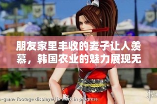 朋友家里丰收的麦子让人羡慕，韩国农业的魅力展现无遗