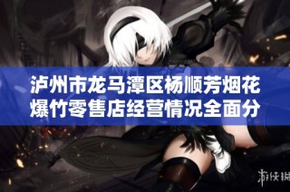 泸州市龙马潭区杨顺芳烟花爆竹零售店经营情况全面分析