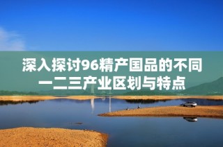 深入探讨96精产国品的不同一二三产业区划与特点
