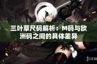 三叶草尺码解析：M码与欧洲码之间的具体差异
