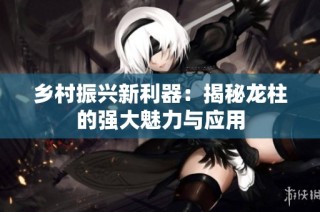 乡村振兴新利器：揭秘龙柱的强大魅力与应用