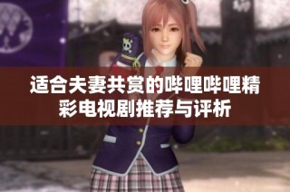 适合夫妻共赏的哔哩哔哩精彩电视剧推荐与评析