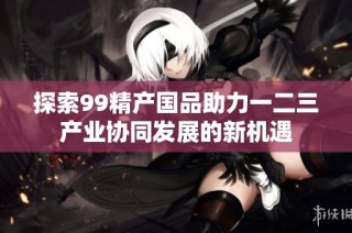 探索99精产国品助力一二三产业协同发展的新机遇
