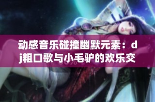 动感音乐碰撞幽默元素：dj粗口歌与小毛驴的欢乐交响