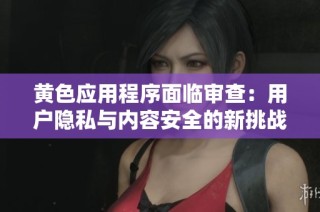 黄色应用程序面临审查：用户隐私与内容安全的新挑战