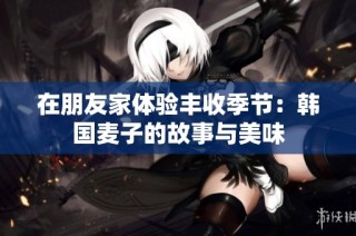 在朋友家体验丰收季节：韩国麦子的故事与美味