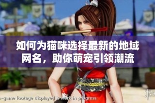 如何为猫咪选择最新的地域网名，助你萌宠引领潮流