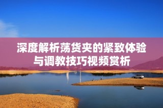 深度解析荡货夹的紧致体验与调教技巧视频赏析