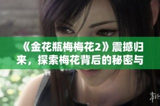 《金花瓶梅梅花2》震撼归来，探索梅花背后的秘密与传奇故事