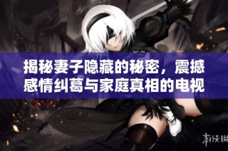 揭秘妻子隐藏的秘密，震撼感情纠葛与家庭真相的电视剧大全