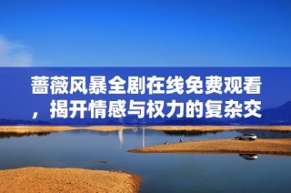 蔷薇风暴全剧在线免费观看，揭开情感与权力的复杂交织