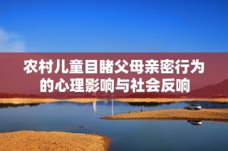 农村儿童目睹父母亲密行为的心理影响与社会反响