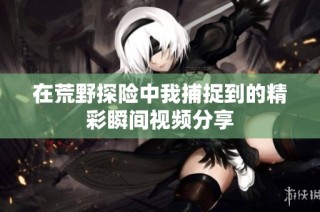 在荒野探险中我捕捉到的精彩瞬间视频分享