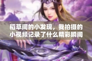 稻草间的小发现，我拍摄的小视频记录了什么精彩瞬间