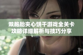 双胞胎夹心饼干游戏全关卡攻略详细解析与技巧分享