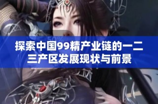 探索中国99精产业链的一二三产区发展现状与前景