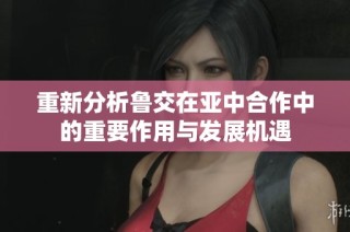 重新分析鲁交在亚中合作中的重要作用与发展机遇