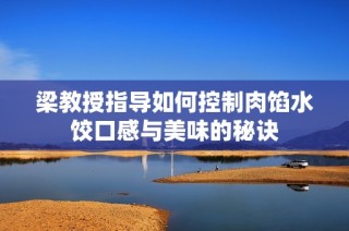 梁教授指导如何控制肉馅水饺口感与美味的秘诀