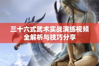 三十六式武术实战演练视频全解析与技巧分享