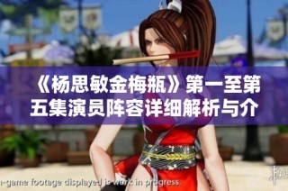 《杨思敏金梅瓶》第一至第五集演员阵容详细解析与介绍
