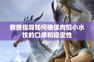 教授指导如何确保肉馅小水饺的口感和稳定性