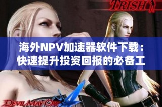 海外NPV加速器软件下载：快速提升投资回报的必备工具