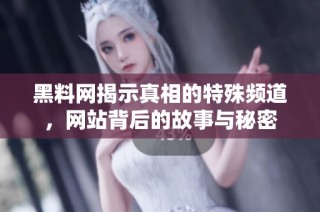 黑料网揭示真相的特殊频道，网站背后的故事与秘密