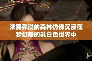 浓雾弥漫的森林仿佛沉浸在梦幻般的乳白色世界中