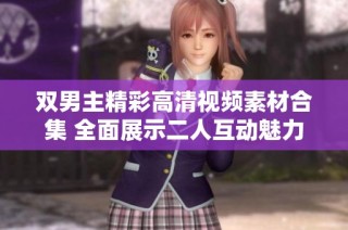 双男主精彩高清视频素材合集 全面展示二人互动魅力