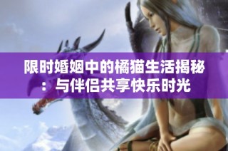 限时婚姻中的橘猫生活揭秘：与伴侣共享快乐时光